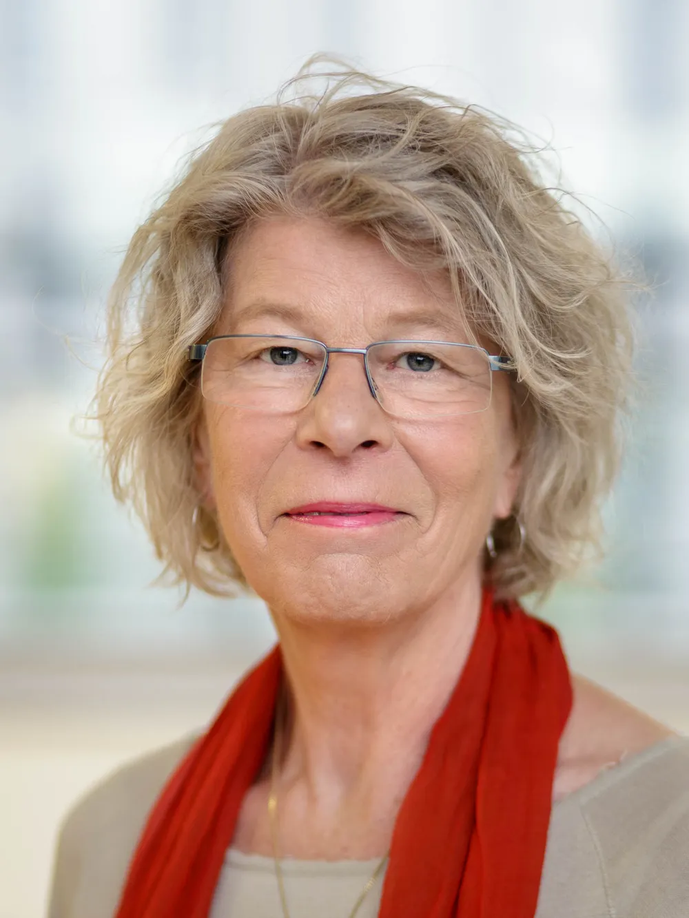 Prof. Dr. Hanne Seitz