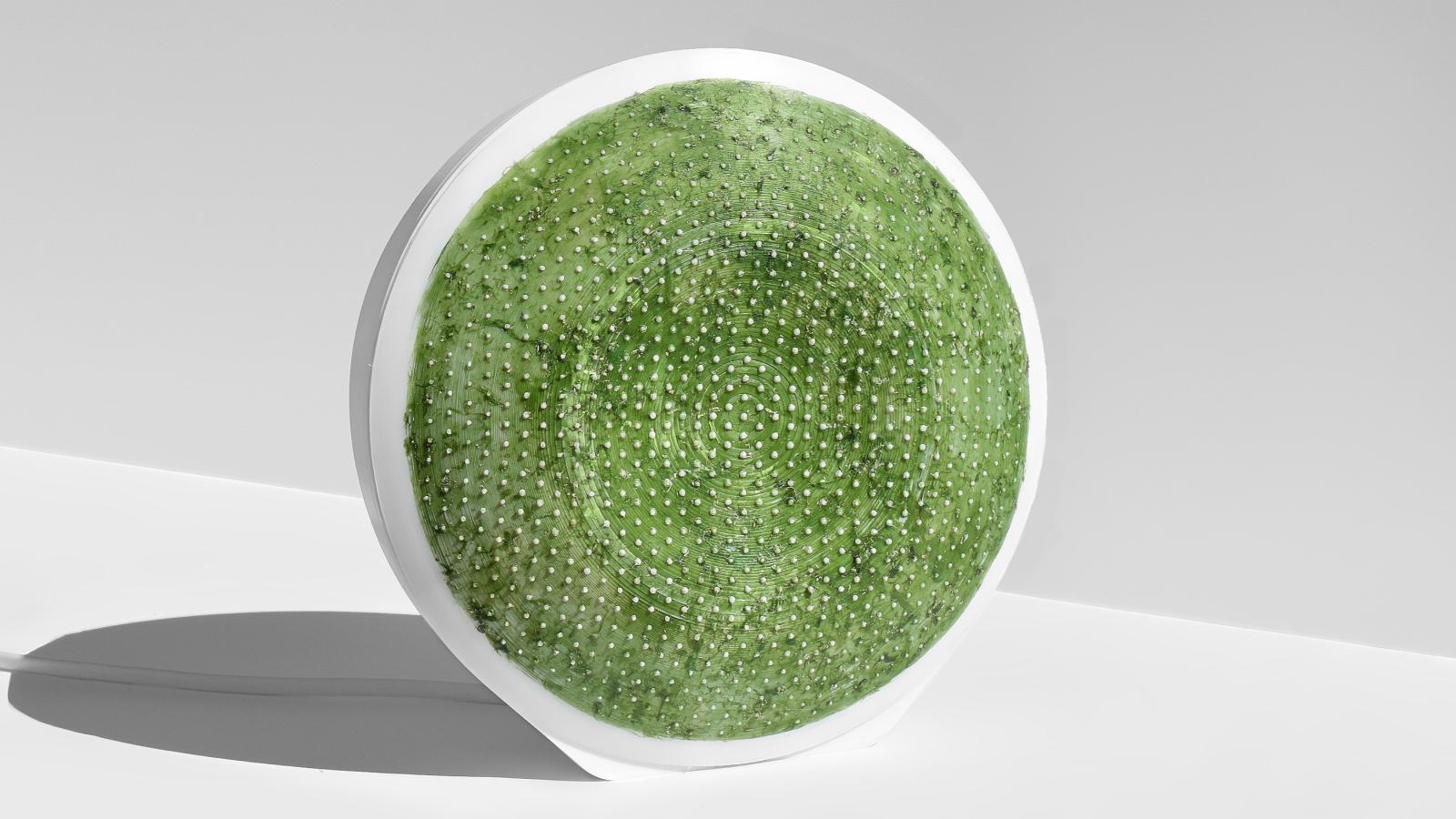  Leuchte mit Cyanobakterium auf 3D-Druck