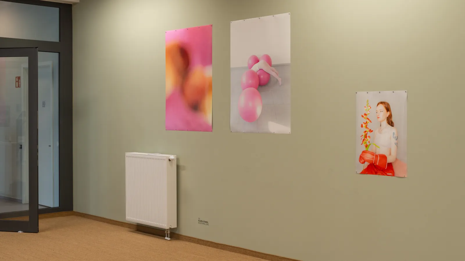 Drei ungerahmte Fotografien an einer grünen Wand