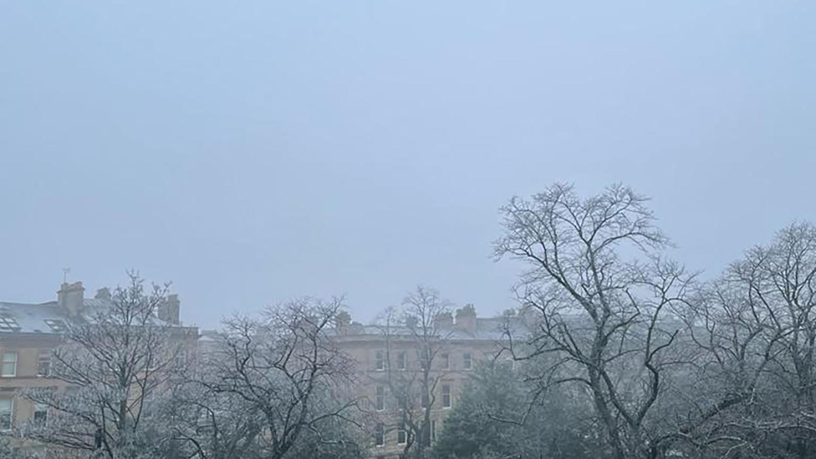 Ausblick aus dem Arbeitsbüro des Goethe-Institut Glasgows auf eine Grasfläche und Bäume unter grauem Himmel und Nebel.