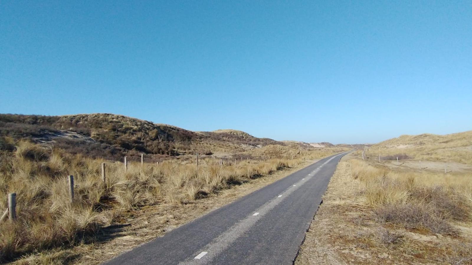 Ein leerer Radweg führt aus dem Bild hinaus. Zur linken und rechten Seite des Weges sind Dünen. Der Himmel ist ganz blau.