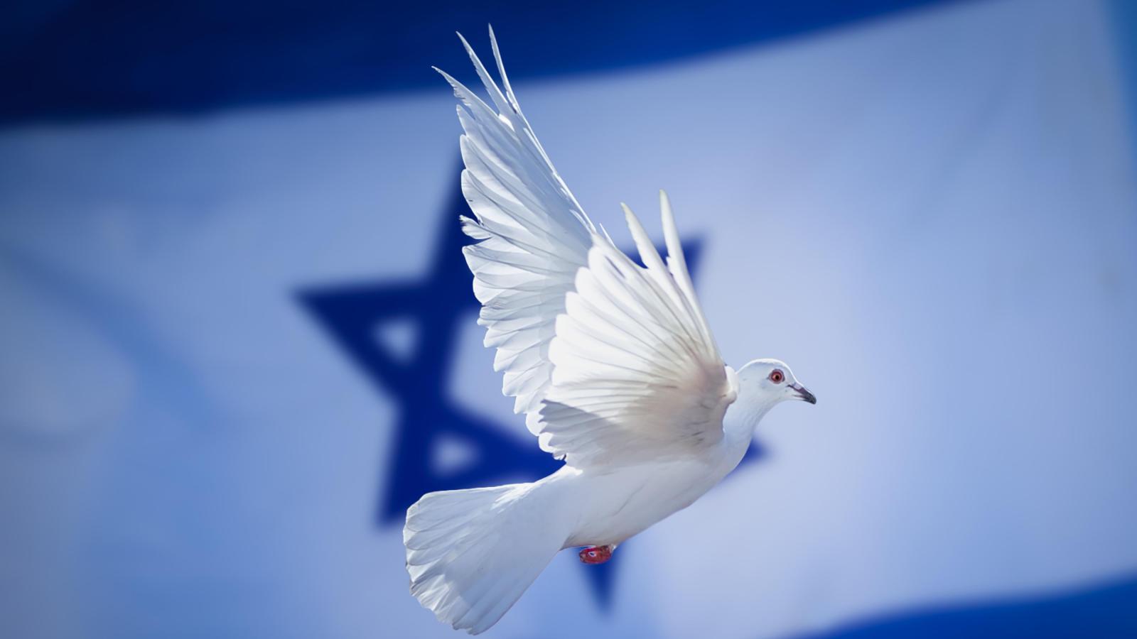 Friedenstaube vor israelischer Flagge