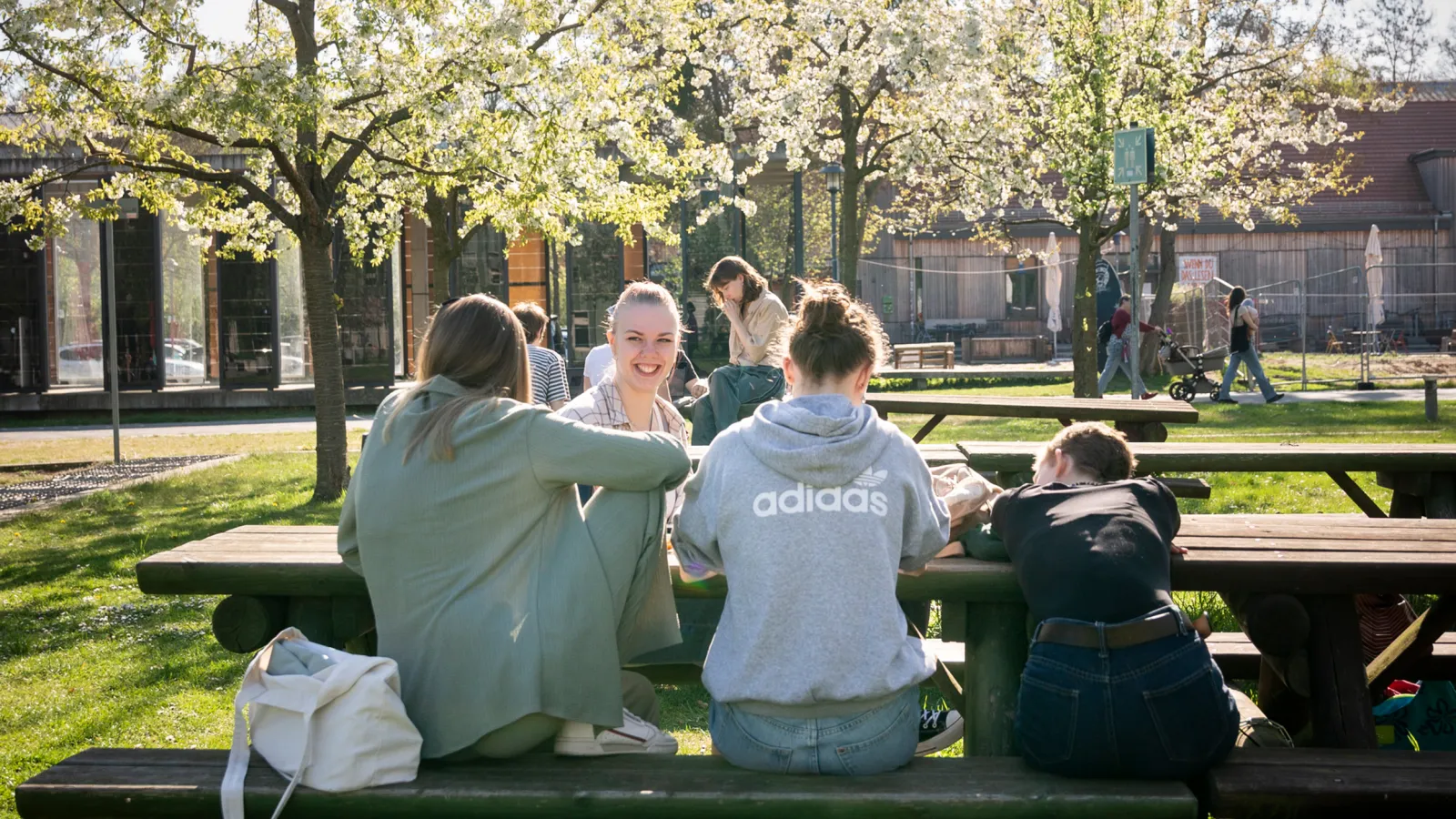 Eine Gruppe Studierende sitzt an einer Parkbank auf dem Campus
