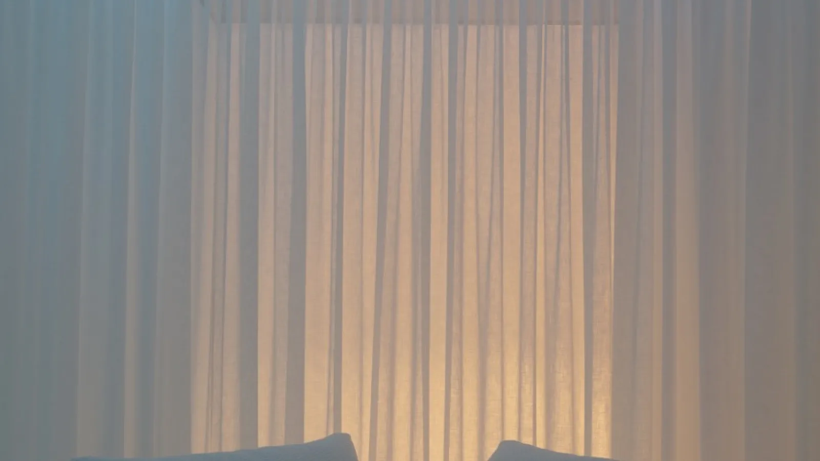 Ausstellung Circadian Dreams