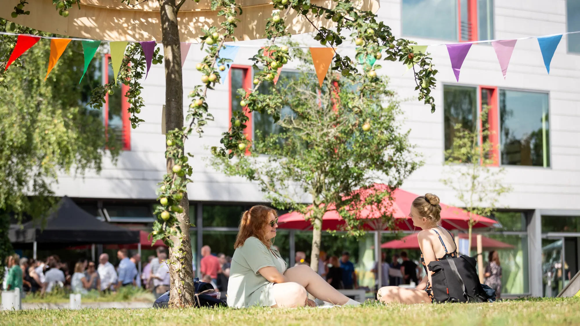 Studierende sitzen unter einer Girlande auf der Wiese