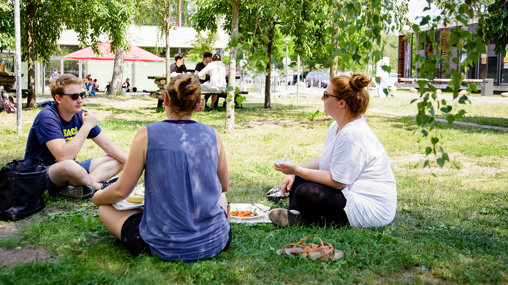 Studierende sitzen im Gras auf dem Campus der FH Potsdam
