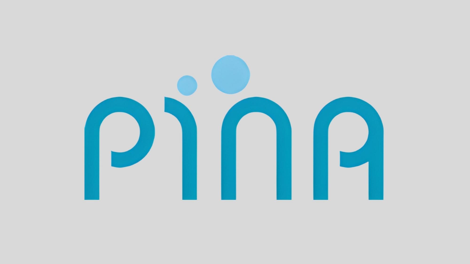 Logo des Forschungsprojekts PINA