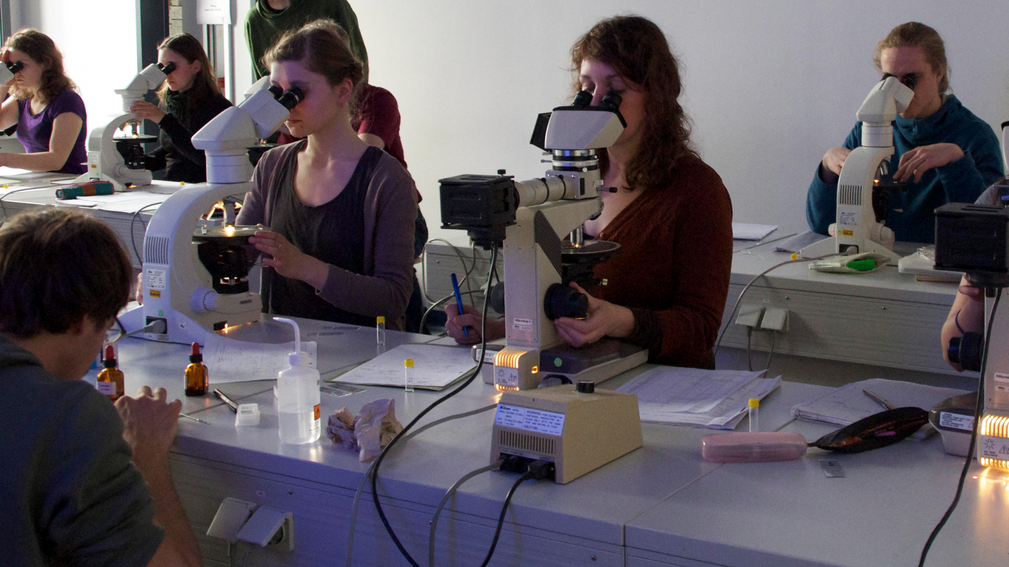 Studierende der Konservierung bei der Mikroskopie