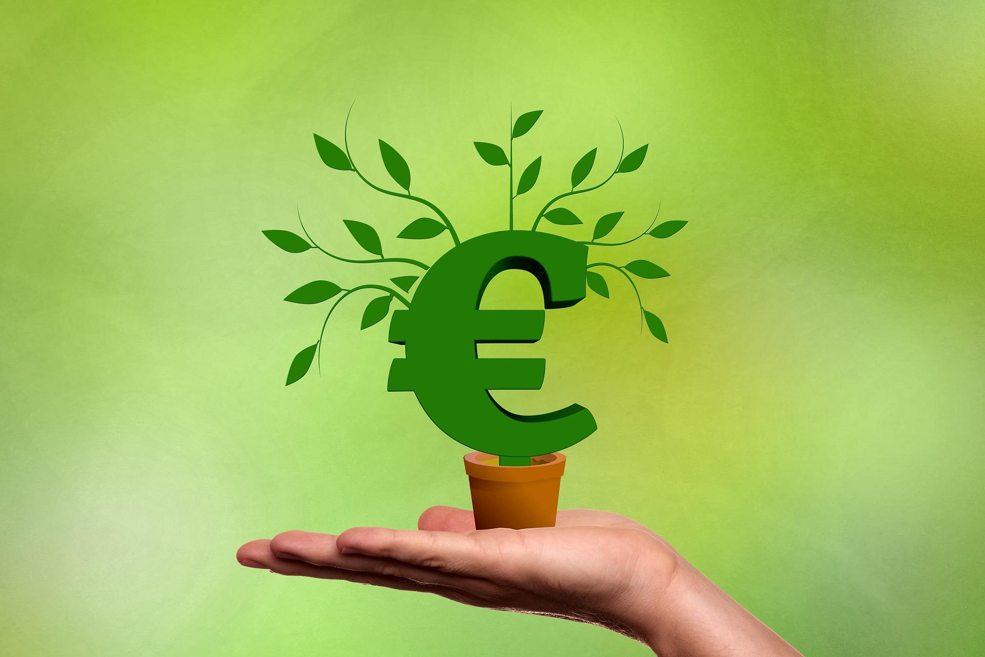 Hand hält wachsende Pflanze in der Hand, die ein Eurozeichen darstellt