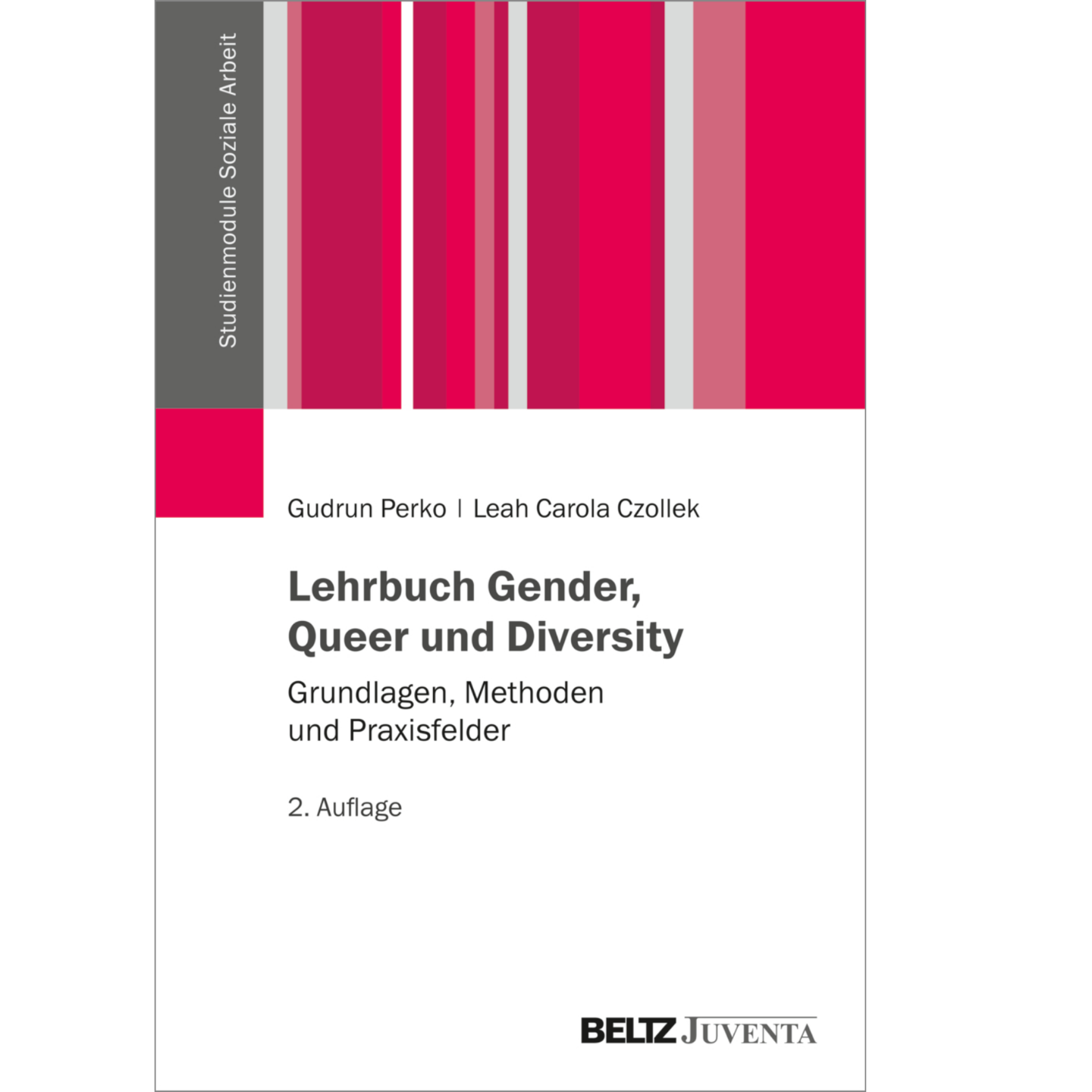 Lehrbuch Gender Queer und Diversity: Grundlagen Methoden und Praxisfelder