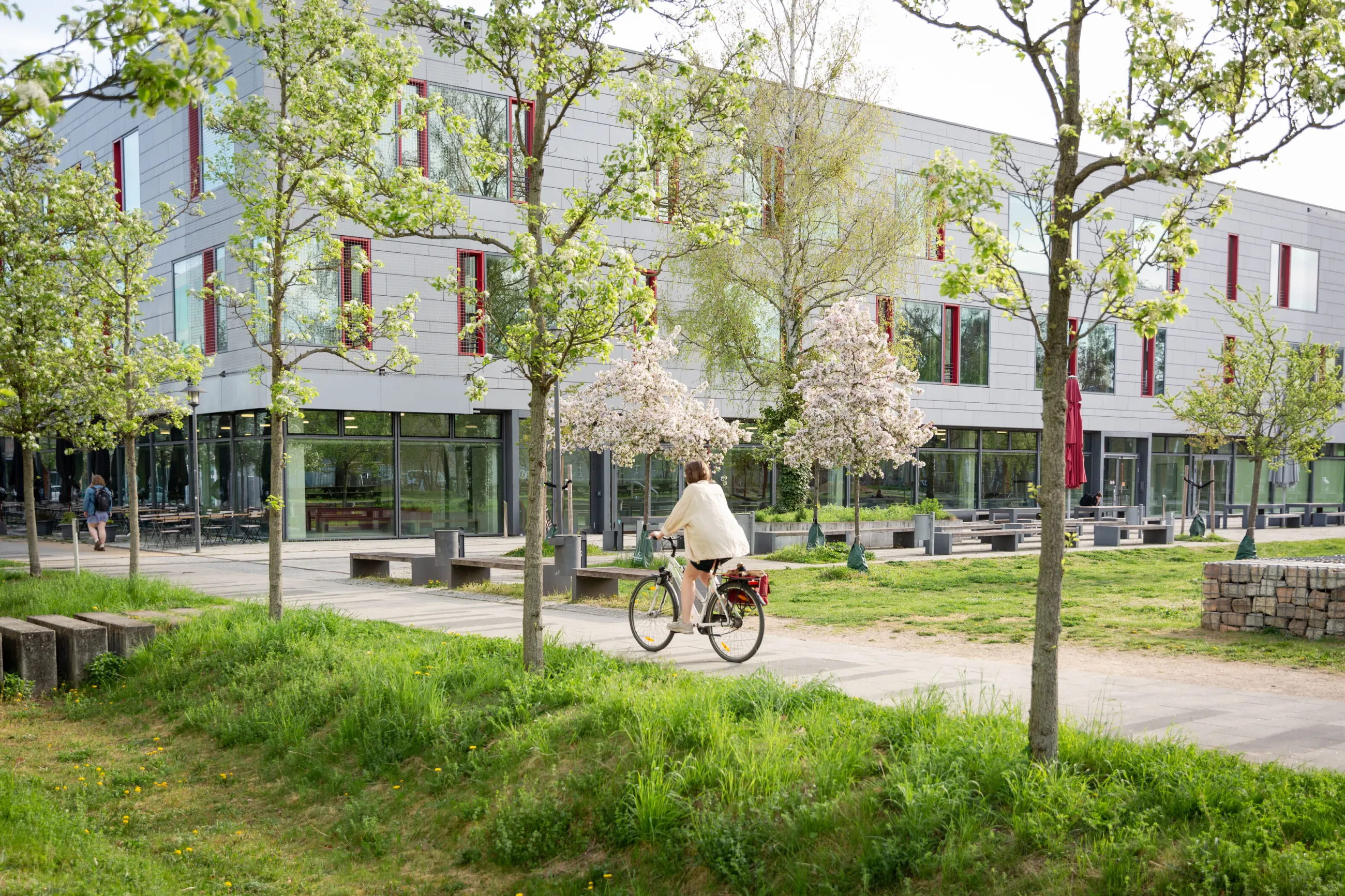 Radfahrerin auf dem FHP Campus im Frühling