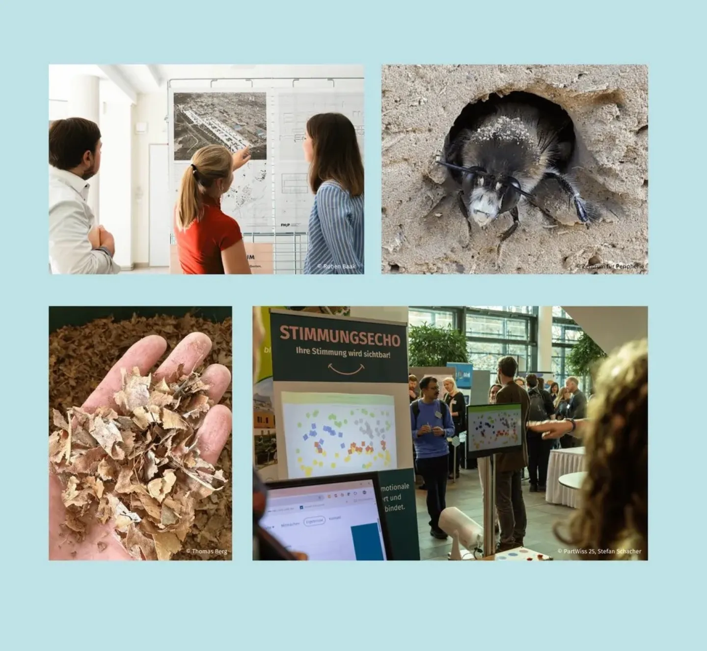 Fotocollage von Menschen vor Schaubildern und Materialien