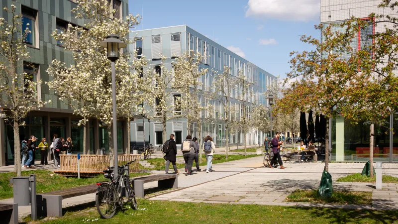 Studierende auf dem Campus nebst blühenden Bäumen