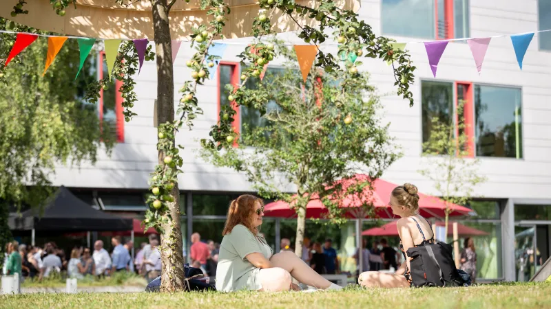 Studierende sitzen unter einer Girlande auf der Wiese