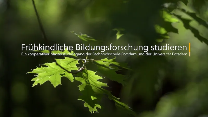 Grünes Blatt an einem Ast vor unscharfem, grünem Hintergrund mit weißem Text 'Frühkindliche Bildungsforschung. studieren Ein kooperativer Masterstudiengang der Fachhochschule Potsdam und der Universität Potsdam"