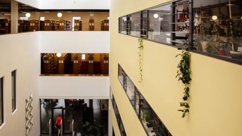 Bibliothek im Hauptgebäude der FH Potsdam